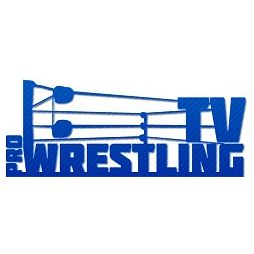 Pro - Wrestling телевиз