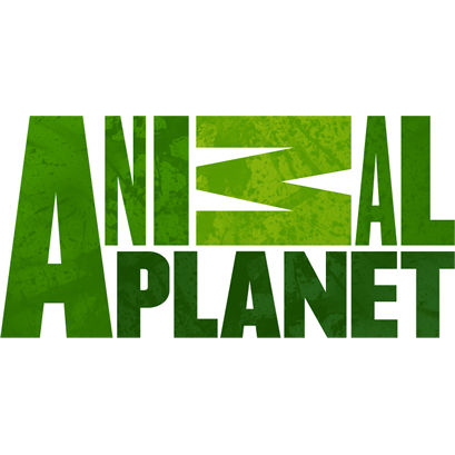 Animal Planet телевиз