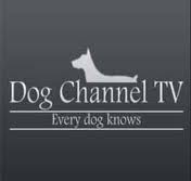 Dog Channel телевиз